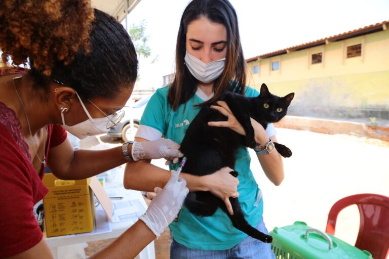 Aparecida quer vacinar 70 mil cães e gatos contra a raiva 1 VACINACAO ANTIRRABICA 2021 FOTO ENIO MEDEIROS 1
