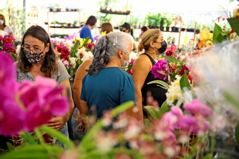 Exposição de orquídeas atrai centenas de pessoas em Aparecida 4 EXPOSICAO DE ORQUIDEAS ENIO MEDEIROS 46 SITE 5 1