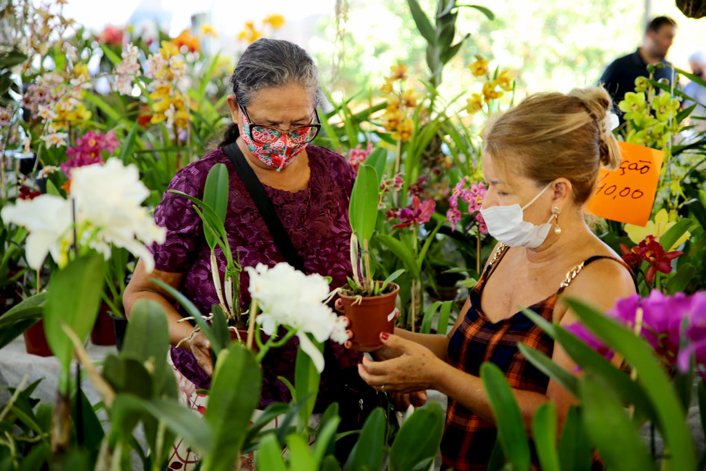 Exposição de orquídeas atrai centenas de pessoas em Aparecida 1 EXPOSICAO DE ORQUIDEAS ENIO MEDEIROS 6 SITE 1