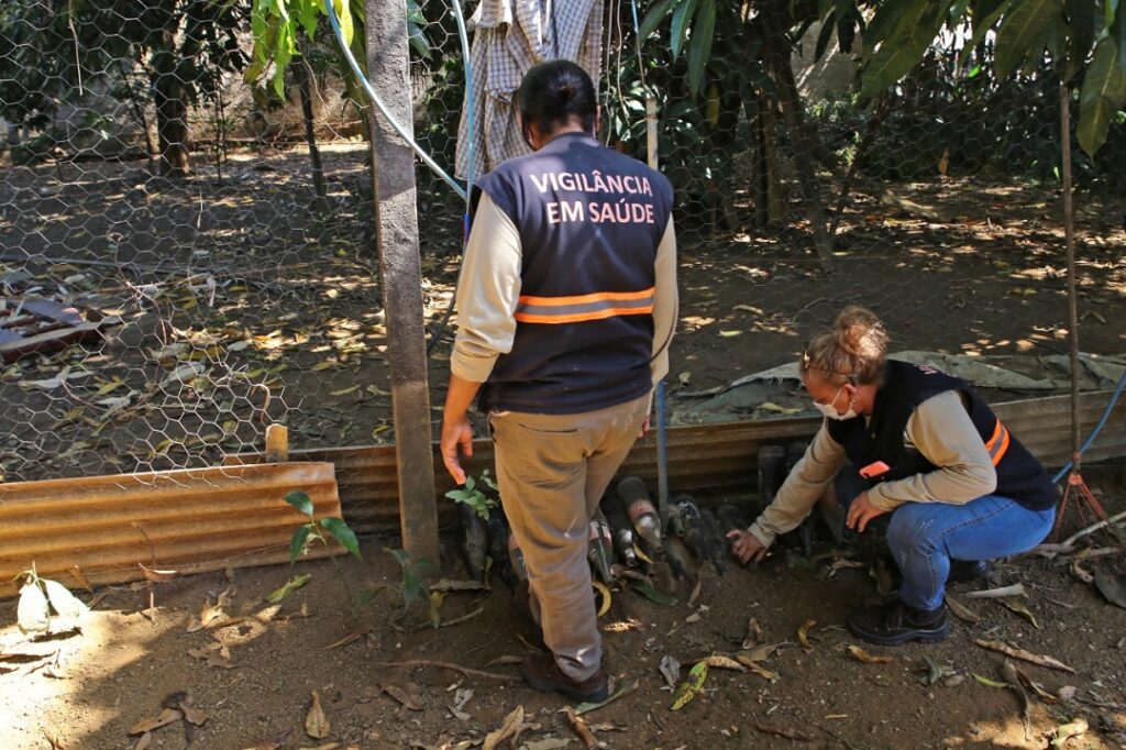 Aparecida intensifica combate ao mosquito aedes aegypt 1 combate dengue aparecida foto2 enio medeiros