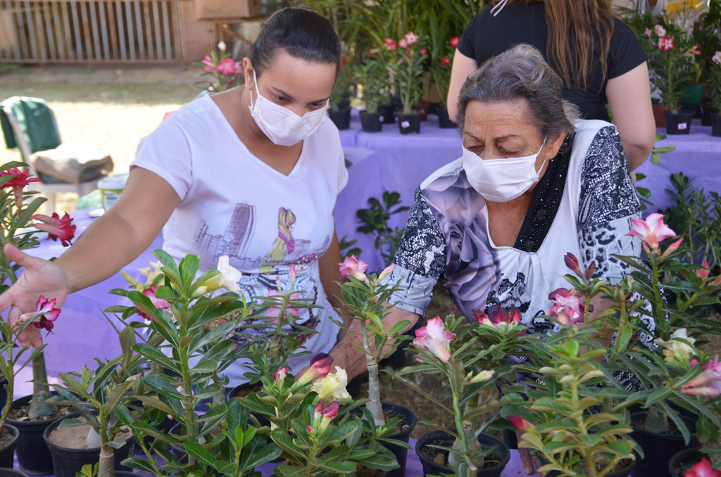 Prefeitura Municipal de Aparecida de Goiânia | Aparecida sedia 'Feira de  Orquídeas e Rosas do Deserto' em homenagem às mães