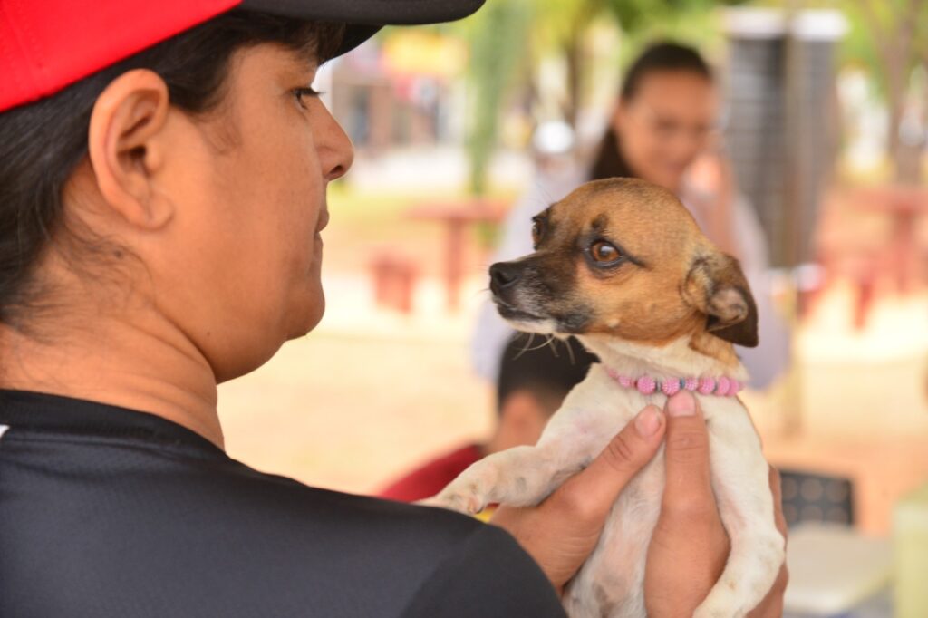 Termina neste sábado a vacinação para cães e gatos em Aparecida 2 foto 03