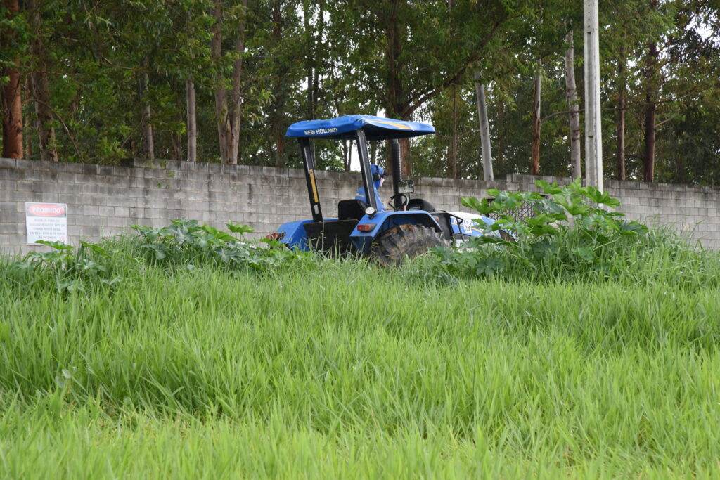 Aparecida de Goiânia roçagem de lotes baldios